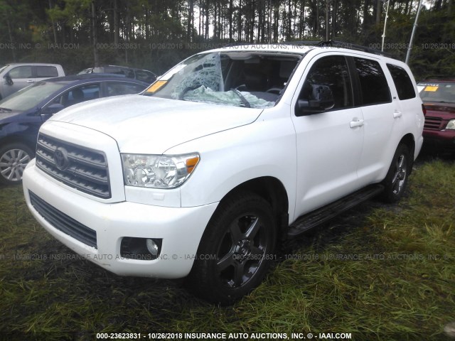 5TDZY5G12DS048663 - 2013 TOYOTA SEQUOIA SR5 WHITE photo 2