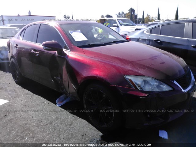 JTHBF5C24A5109291 - 2010 LEXUS IS 250 RED photo 1