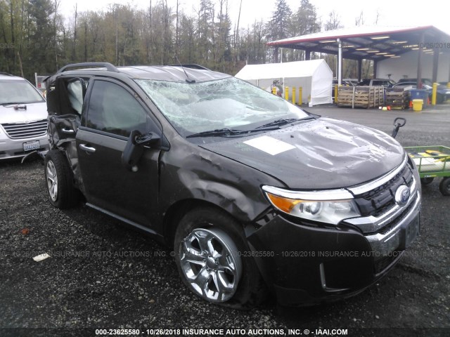 2FMDK3JC6BBB04026 - 2011 FORD EDGE SEL BROWN photo 1