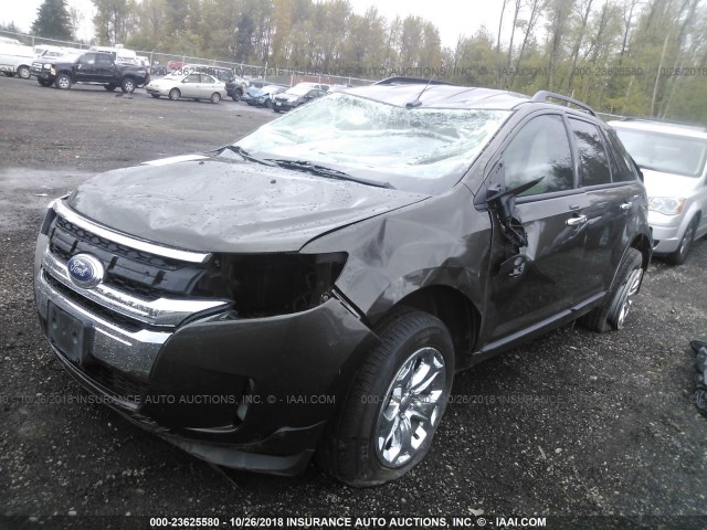 2FMDK3JC6BBB04026 - 2011 FORD EDGE SEL BROWN photo 2