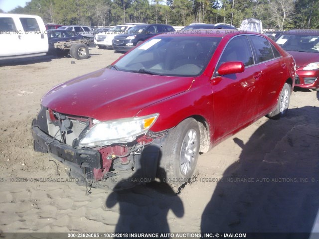 4T4BF3EK0BR111275 - 2011 TOYOTA CAMRY SE/LE/XLE RED photo 2