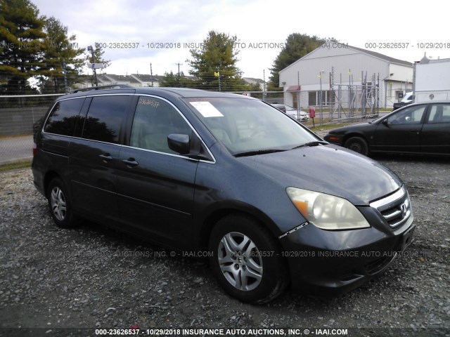 5FNRL38755B135369 - 2005 HONDA ODYSSEY EXL GRAY photo 1