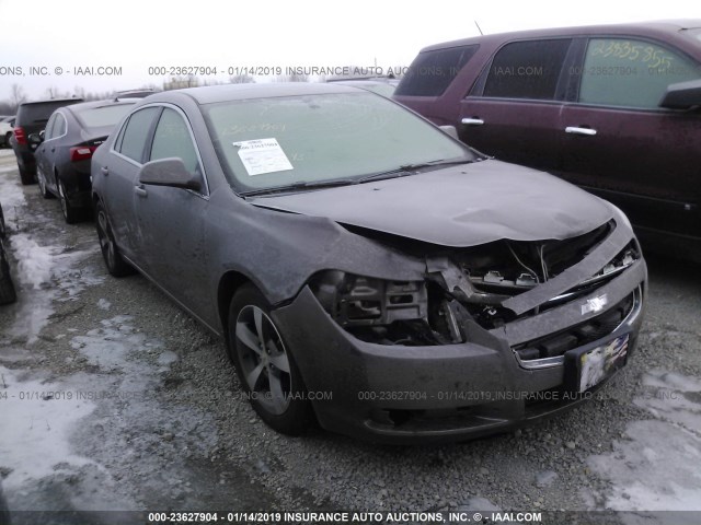 1G1ZC5E15BF138008 - 2011 CHEVROLET MALIBU 1LT GRAY photo 1