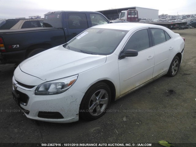1G11B5SL6EF119462 - 2014 CHEVROLET MALIBU LS Սպիտակ լուսանկար 2