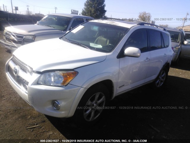 2T3YK4DV8BW009974 - 2011 TOYOTA RAV4 LIMITED WHITE photo 2