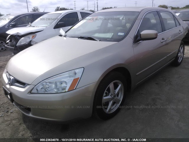 1HGCM56865A042624 - 2005 HONDA ACCORD EX თაფლისფერი ფოტო 2