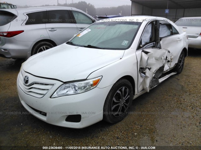 JTNBF3EK4A3000680 - 2010 TOYOTA CAMRY SE/LE/XLE WHITE photo 2