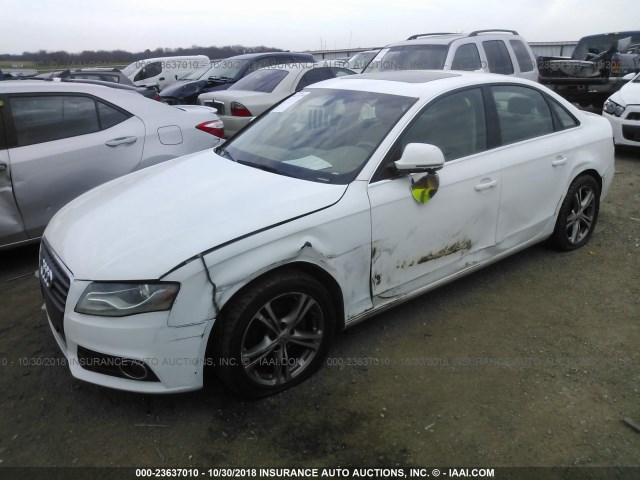 WAUSF78K49N035790 - 2009 AUDI A4 PREMIUM PLUS WHITE photo 2