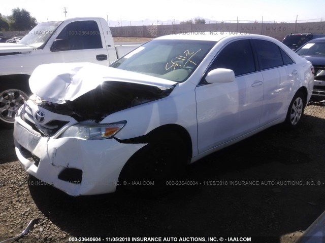 4T4BF3EK3BR200631 - 2011 TOYOTA CAMRY SE/LE/XLE WHITE photo 2