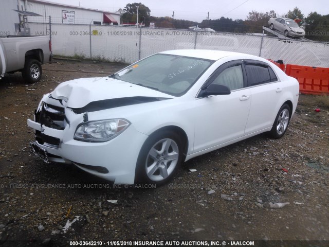 1G1ZA5E09AF190379 - 2010 CHEVROLET MALIBU LS 白色 照片 2