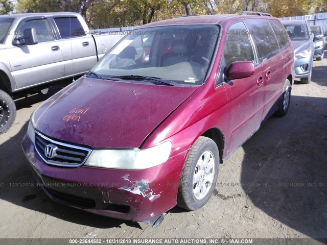 5FNRL18954B101825 - 2004 HONDA ODYSSEY EXL RED photo 2