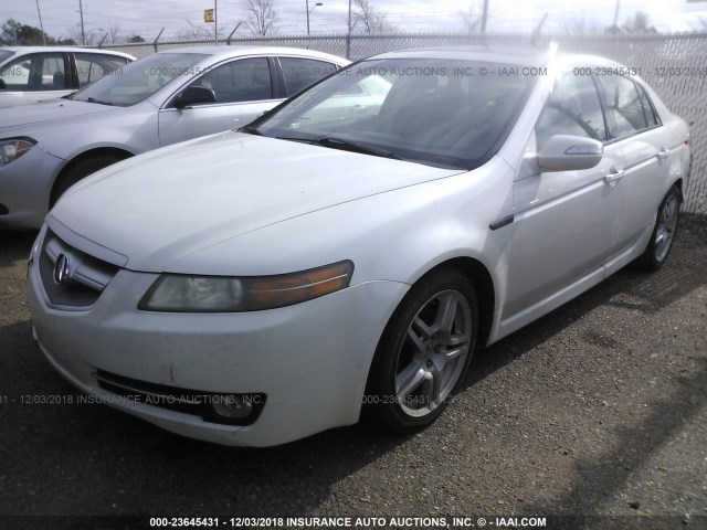 19UUA66248A051521 - 2008 ACURA TL WHITE photo 2