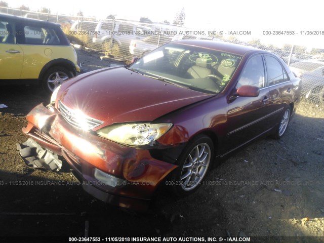 4T1BE32K65U104000 - 2005 TOYOTA CAMRY LE/XLE/SE BURGUNDY photo 2