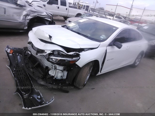 1G1ZB5ST9HF118460 - 2017 CHEVROLET MALIBU LS 白色 照片 2