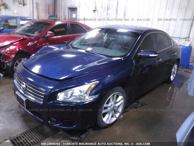 1N4AA5AP9AC812896 - 2010 NISSAN MAXIMA S/SV BLUE photo 2