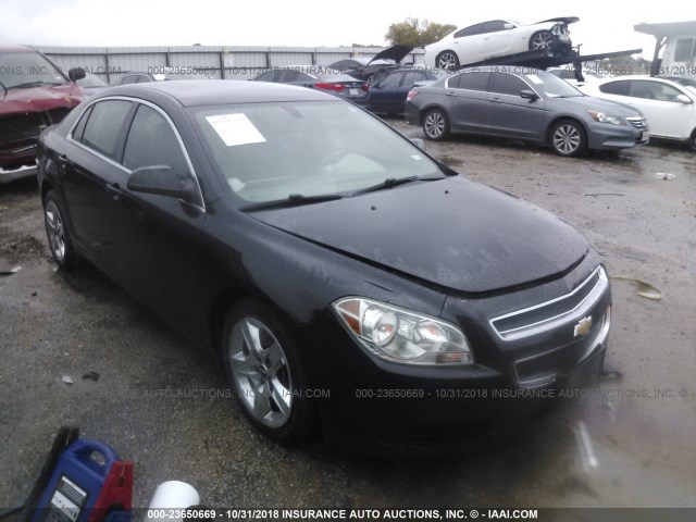 1G1ZB5E03CF278974 - 2012 CHEVROLET MALIBU LS შავი ფოტო 1