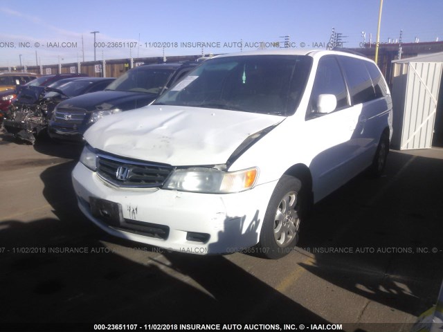 5FNRL18044B000471 - 2004 HONDA ODYSSEY EXL WHITE photo 2