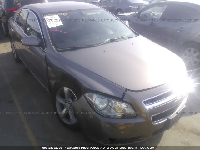 1G1ZC5E09CF112942 - 2012 CHEVROLET MALIBU 1LT 深棕色 照片 1