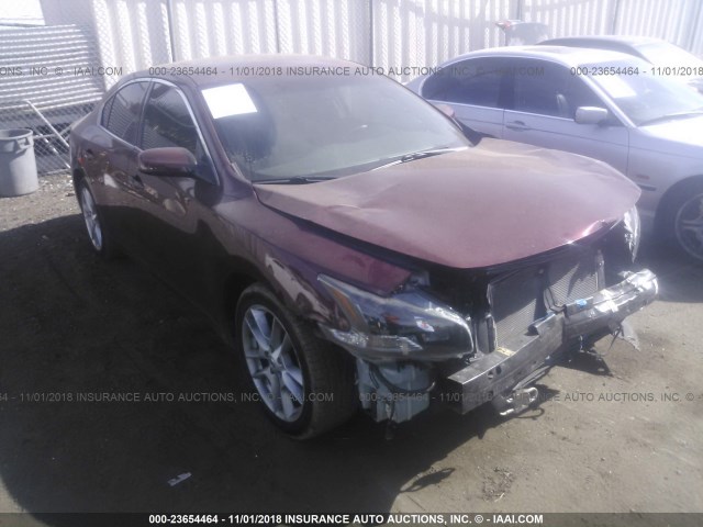 1N4AA5AP1BC817267 - 2011 NISSAN MAXIMA S/SV BURGUNDY photo 1