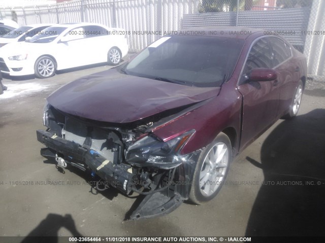 1N4AA5AP1BC817267 - 2011 NISSAN MAXIMA S/SV BURGUNDY photo 2