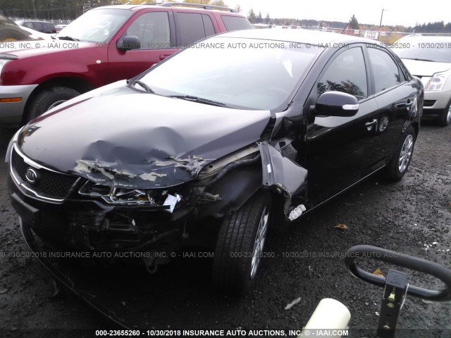 KNAFU4A28A5302983 - 2010 KIA FORTE EX BLACK photo 2