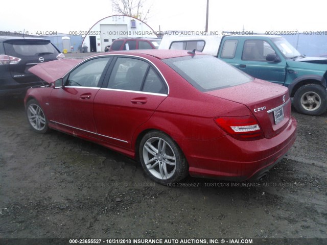 WDDGF4HB3CA617259 - 2012 MERCEDES-BENZ C 250 RED photo 3