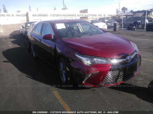 4T1BF1FKXFU922147 - 2015 TOYOTA CAMRY LE/XLE/SE/XSE RED photo 1