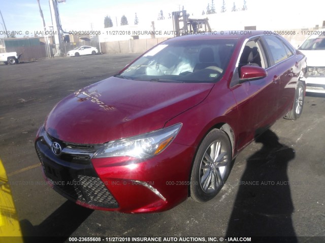 4T1BF1FKXFU922147 - 2015 TOYOTA CAMRY LE/XLE/SE/XSE RED photo 2