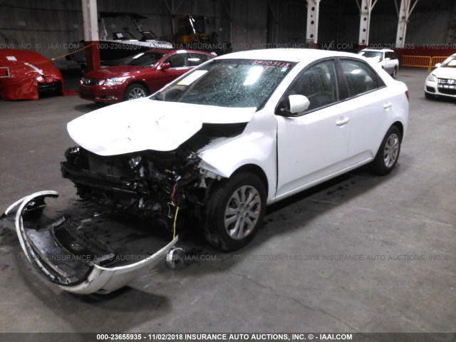 KNAFU4A22A5095586 - 2010 KIA FORTE EX WHITE photo 2