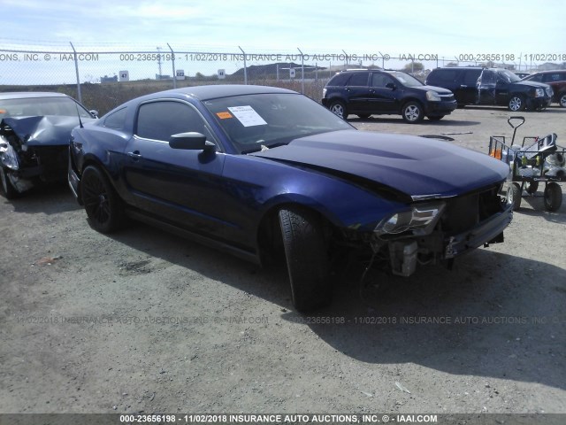 1ZVBP8AM0C5243204 - 2012 FORD MUSTANG BLUE photo 1