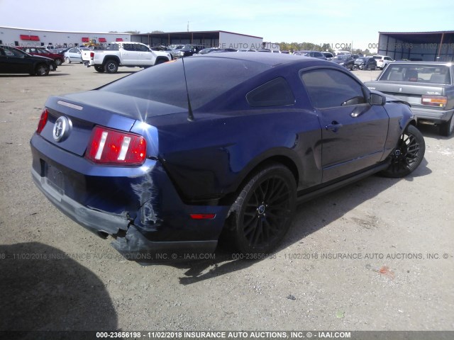 1ZVBP8AM0C5243204 - 2012 FORD MUSTANG BLUE photo 4