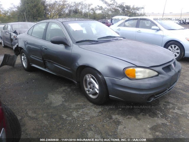 1G2NE52F54M652850 - 2004 PONTIAC GRAND AM SE GRAY photo 1