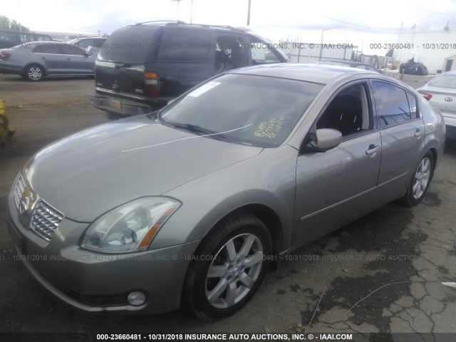 1N4BA41E56C832289 - 2006 NISSAN MAXIMA SE/SL GOLD photo 2