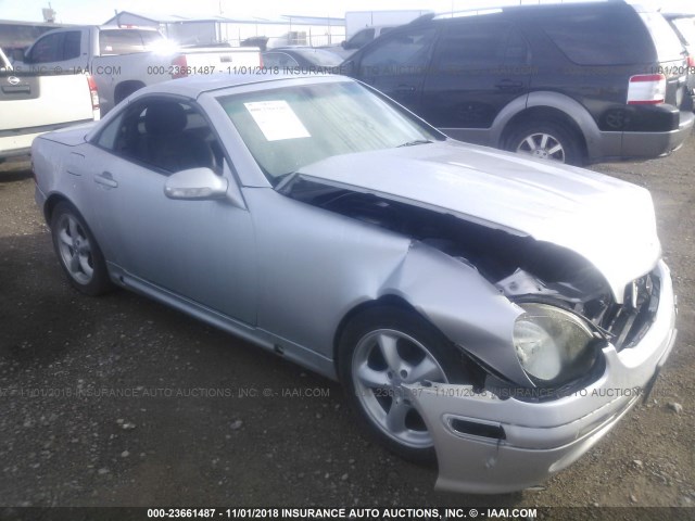 WDBKK65F52F255275 - 2002 MERCEDES-BENZ SLK 320 GRAY photo 1