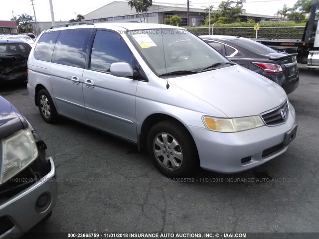 5FNRL18094B069348 - 2004 HONDA ODYSSEY EXL SILVER photo 1