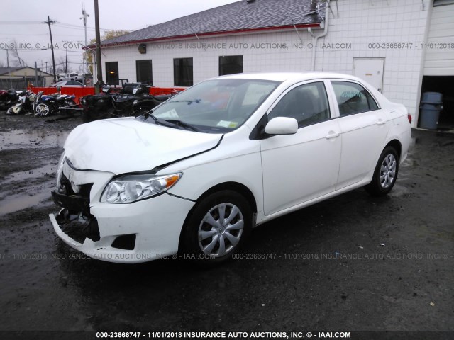 1NXBU4EE8AZ194999 - 2010 TOYOTA COROLLA S/LE/XLE WHITE photo 2