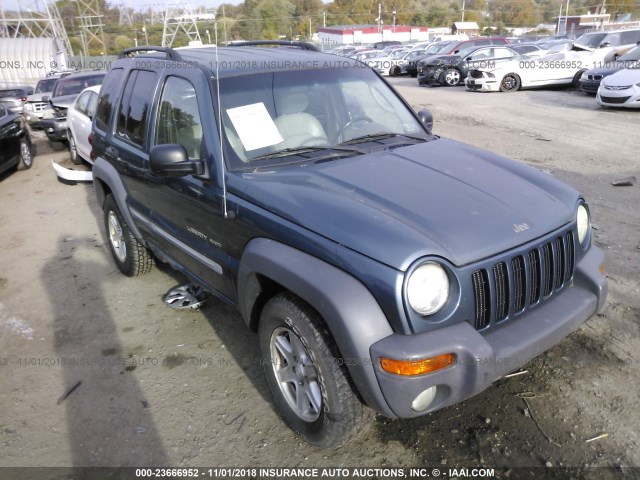 1J8GL48K02W187073 - 2002 JEEP LIBERTY SPORT BLUE photo 1