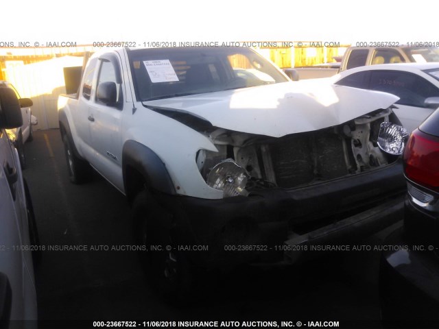 5TEUX42N25Z088358 - 2005 TOYOTA TACOMA ACCESS CAB თეთრი ფოტო 1