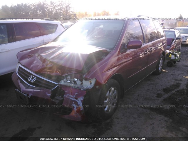 5FNRL189X3B009723 - 2003 HONDA ODYSSEY EXL 红色 照片 2