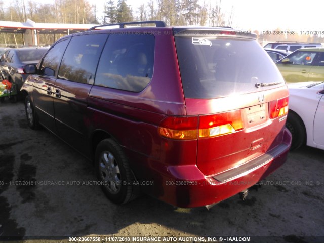 5FNRL189X3B009723 - 2003 HONDA ODYSSEY EXL 红色 照片 3