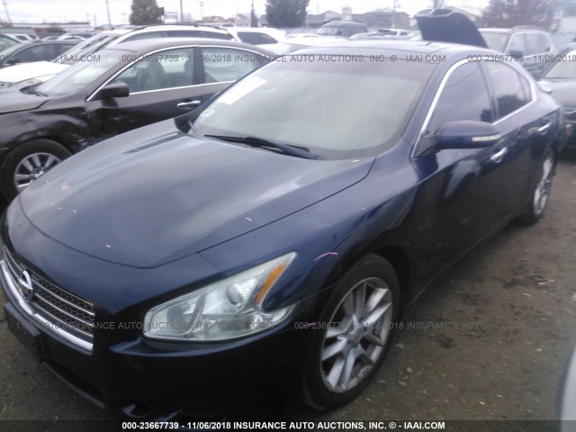 1N4AA5AP5AC850206 - 2010 NISSAN MAXIMA S/SV Dark Blue photo 2