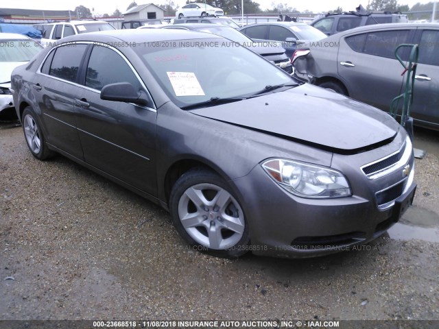 1G1ZB5E1XBF348221 - 2011 CHEVROLET MALIBU LS 棕色 照片 1