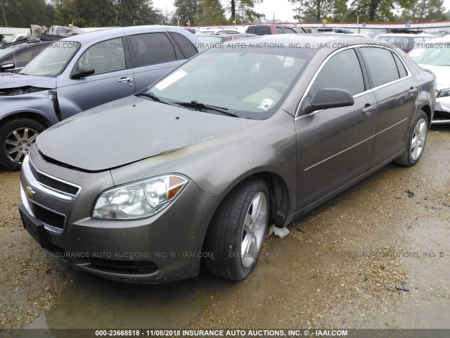 1G1ZB5E1XBF348221 - 2011 CHEVROLET MALIBU LS 棕色 照片 2