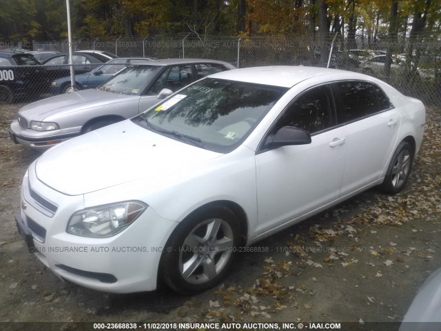 1G1ZA5EU4CF350299 - 2012 CHEVROLET MALIBU LS 白色 照片 2
