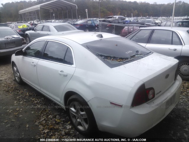 1G1ZA5EU4CF350299 - 2012 CHEVROLET MALIBU LS 白色 照片 3