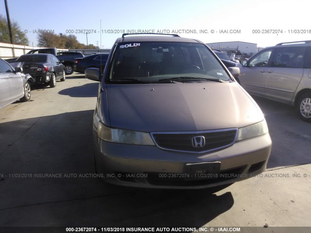 5FNRL18023B002038 - 2003 HONDA ODYSSEY GOLD photo 6