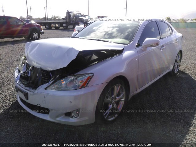 JTHBK262595101265 - 2009 LEXUS IS 250 WHITE photo 2