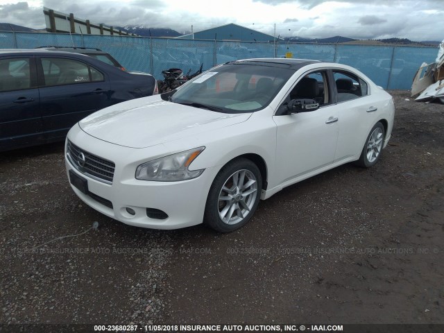 1N4AA5AP5AC809963 - 2010 NISSAN MAXIMA S/SV WHITE photo 2