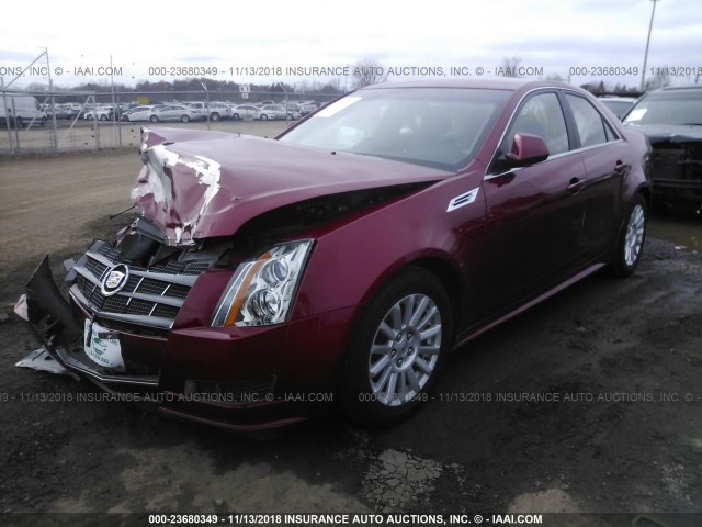 1G6DA5EG1A0149703 - 2010 CADILLAC CTS RED photo 2