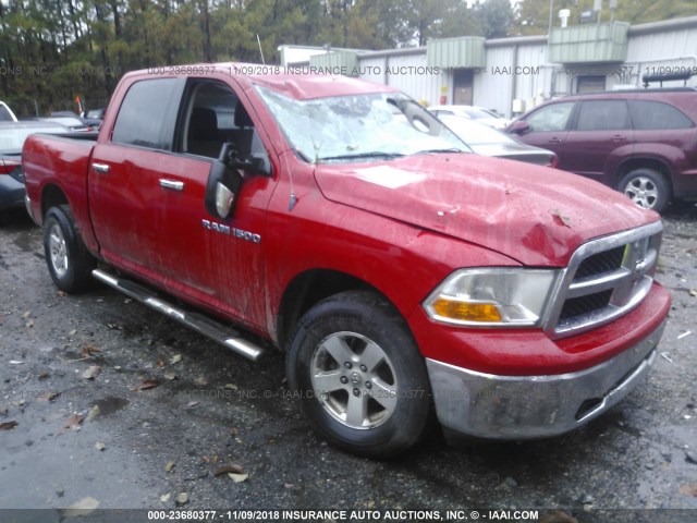 1C6RD7LP5CS249519 - 2012 DODGE RAM 1500 SLT RED photo 1